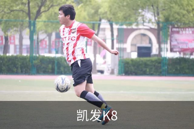 凯发K8公司简介